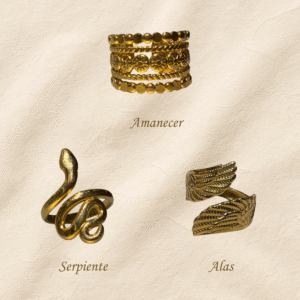 Anillos en acero